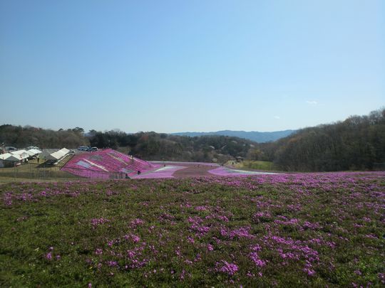 1000円グルメの旅 from 宇都宮 to 47都道府県