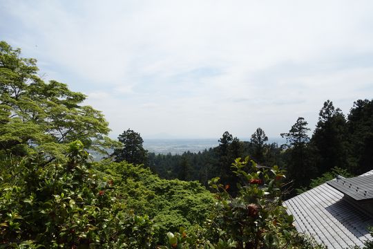 DSC05985