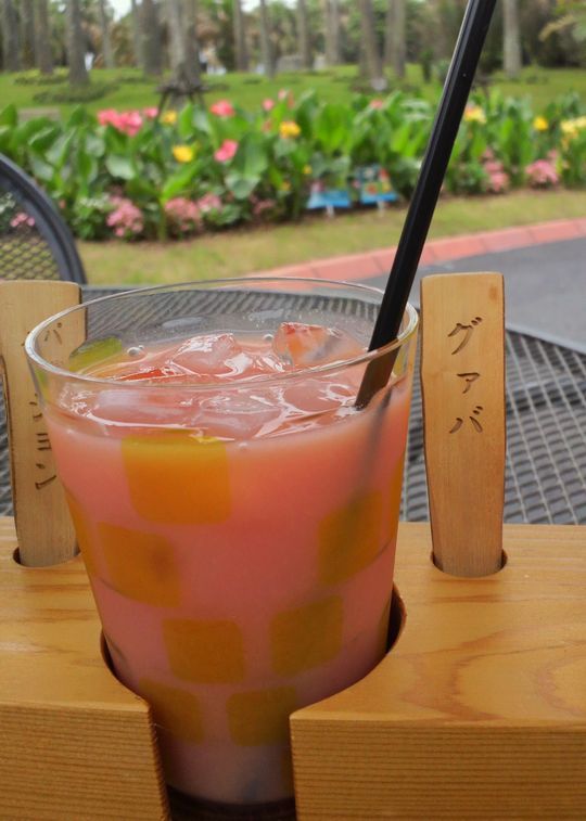 1000円グルメの旅　from 宇都宮　to 47都道府県