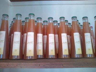 1000円グルメの日々in宇都宮