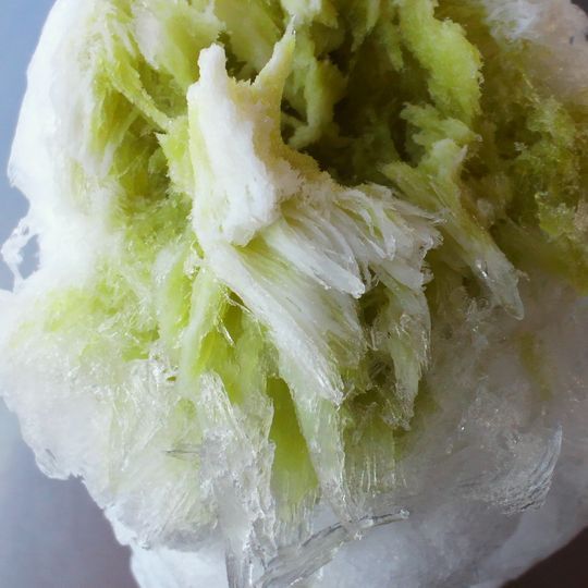 1000円グルメの旅 from 宇都宮 to 47都道府県