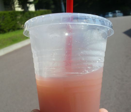 1000円グルメの日々in宇都宮