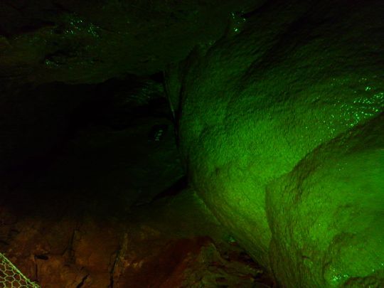 1000円グルメの旅 from 宇都宮 to 47都道府県