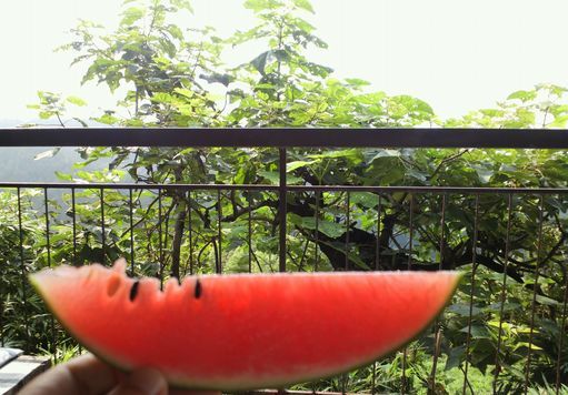 1000円グルメの旅　from 宇都宮　to 47都道府県