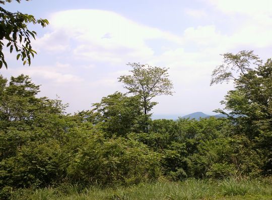 1000円グルメの旅 from 宇都宮 to 47都道府県