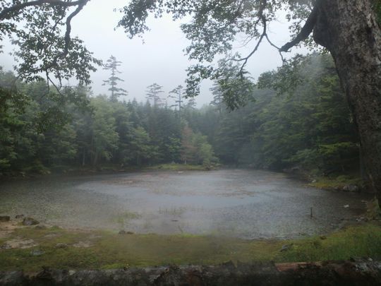 1000円グルメの旅　from 宇都宮　to 47都道府県