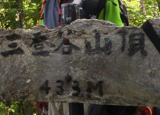 1000円グルメの旅 from 宇都宮 to 47都道府県