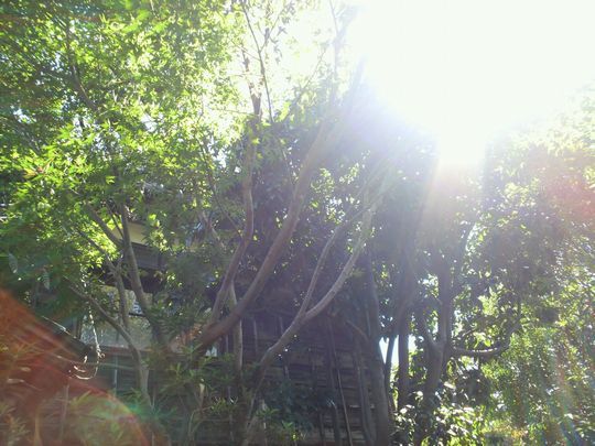 1000円グルメの旅　from 宇都宮　to 47都道府県