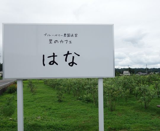 DSC07187