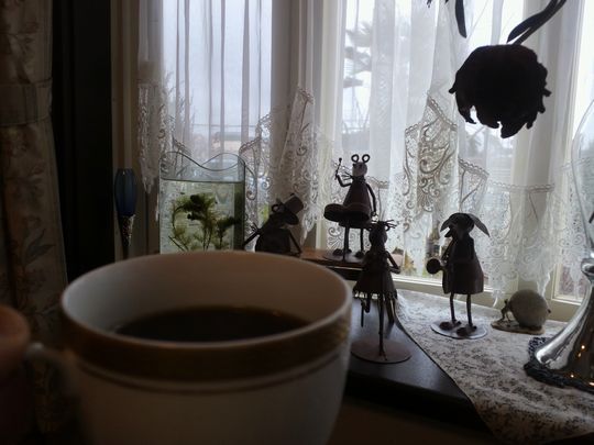 1000円グルメの旅　from 宇都宮　to 47都道府県