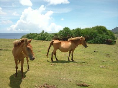 1000円グルメの日々in宇都宮