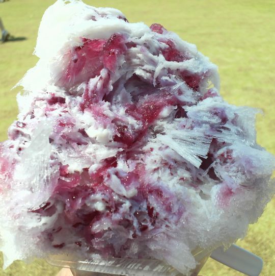 1000円グルメの旅　from 宇都宮　to 47都道府県