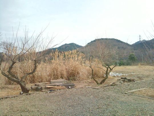 1000円グルメの日々in宇都宮