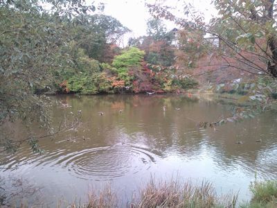 1000円グルメの日々in宇都宮