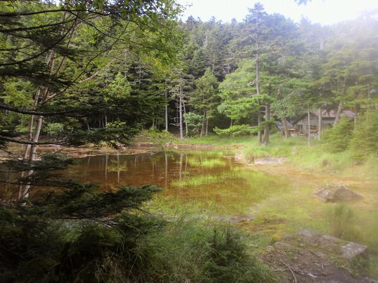 1000円グルメの旅 from 宇都宮 to 47都道府県