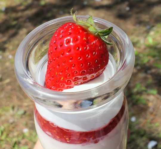 1000円グルメの旅　from 宇都宮　to 47都道府県