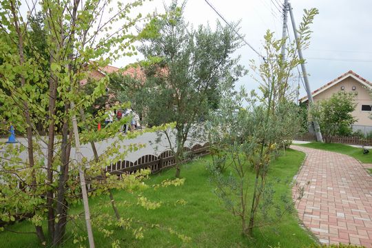 DSC02895