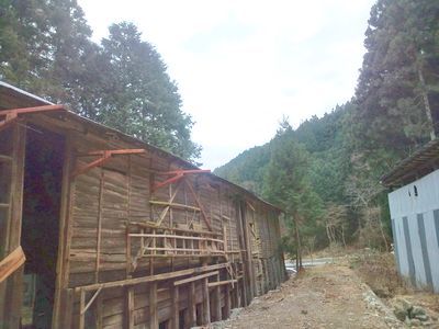 1000円グルメの日々in宇都宮