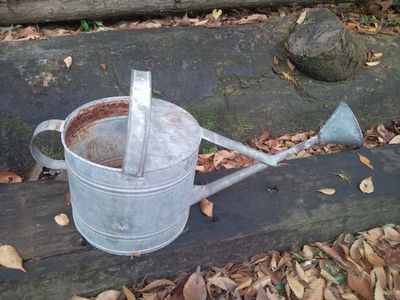 1000円グルメの日々in宇都宮