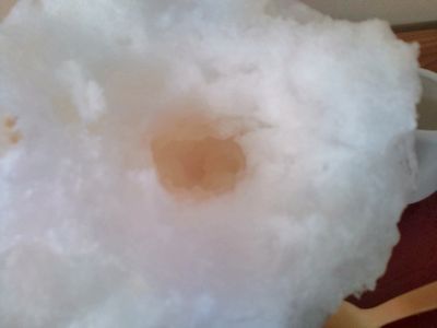 1000円グルメの日々in宇都宮