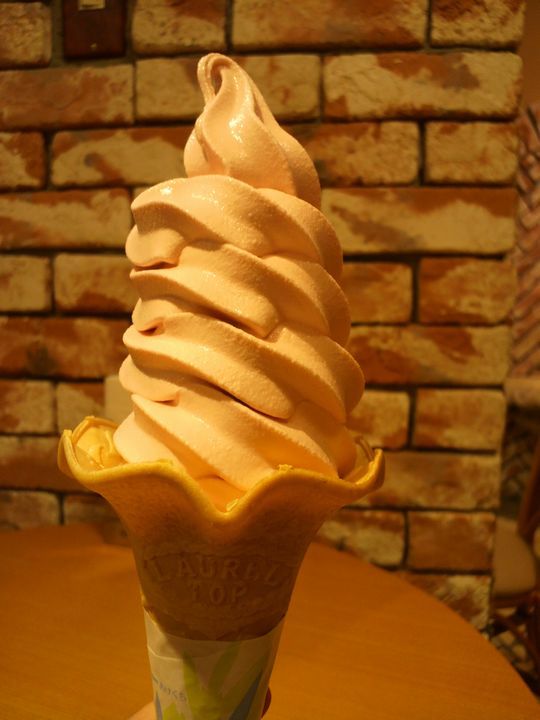 1000円グルメの旅　from 宇都宮　to 47都道府県