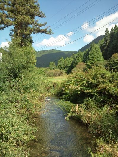 1000円グルメの日々in宇都宮