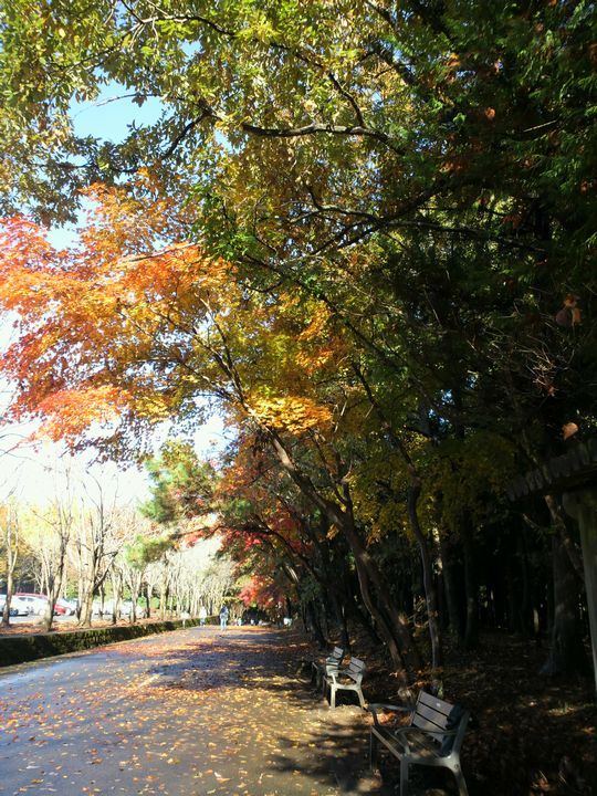 1000円グルメの旅　from 宇都宮　to 47都道府県