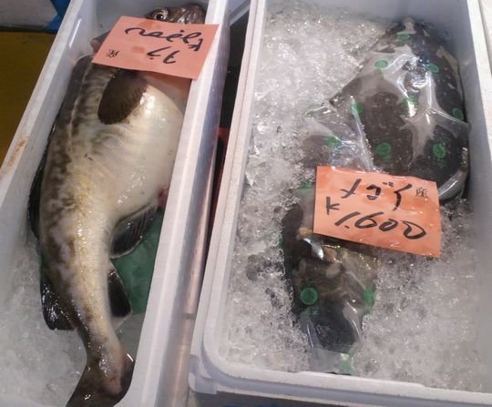 1000円グルメの旅　from 宇都宮　to 47都道府県