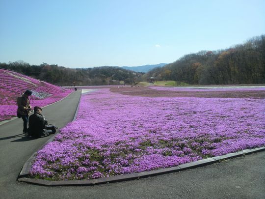 1000円グルメの旅 from 宇都宮 to 47都道府県