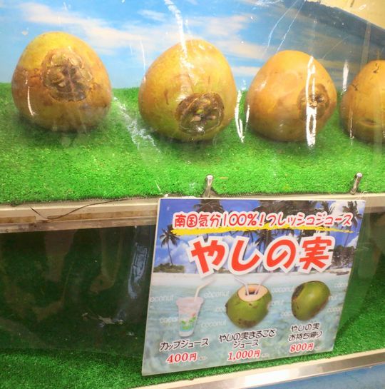 1000円グルメの旅　from 宇都宮　to 47都道府県