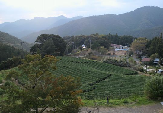 1000円グルメの旅 from 宇都宮 to 47都道府県