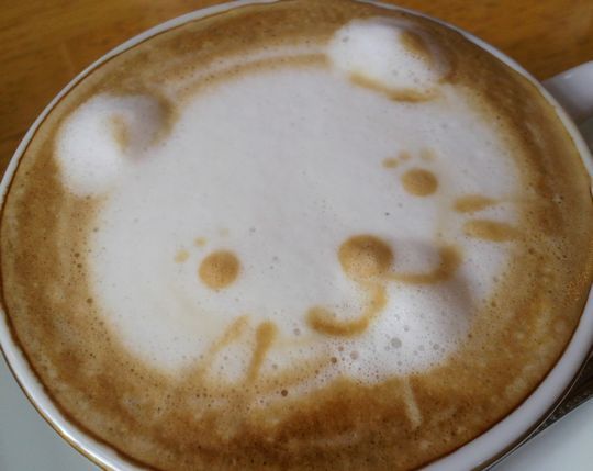 1000円グルメの旅　from 宇都宮　to 47都道府県