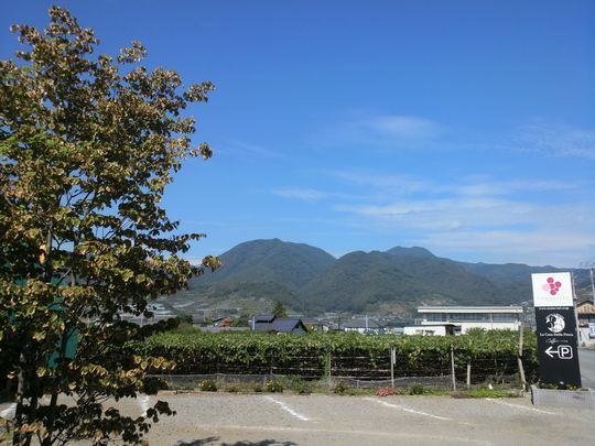 1000円グルメの旅 from 宇都宮 to 47都道府県