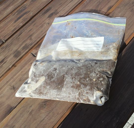 1000円グルメの旅　from 宇都宮　to 47都道府県