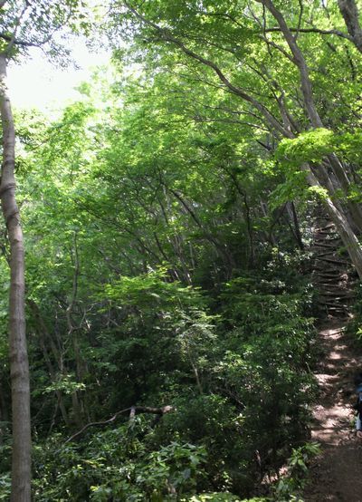 1000円グルメの旅 from 宇都宮 to 47都道府県