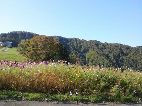 1000円グルメの旅 from 宇都宮 to 47都道府県