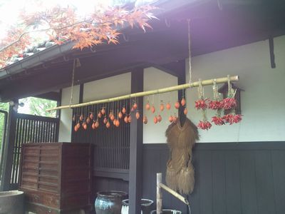 1000円グルメの日々in宇都宮