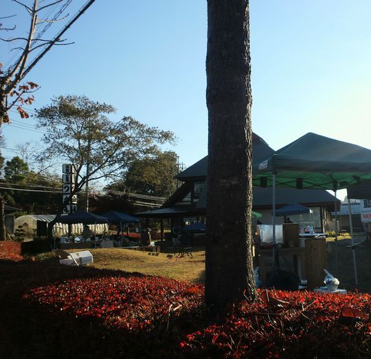 1000円グルメの旅　from 宇都宮　to 47都道府県