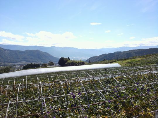 1000円グルメの旅 from 宇都宮 to 47都道府県