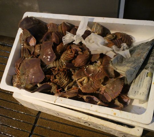 1000円グルメの旅 from 宇都宮 to 47都道府県