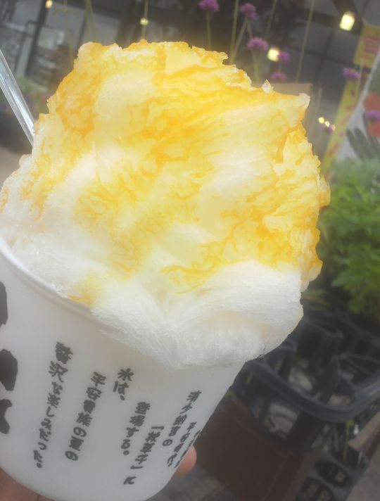 1000円グルメの日々in宇都宮