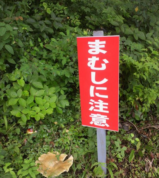 1000円グルメの旅　from 宇都宮　to 47都道府県