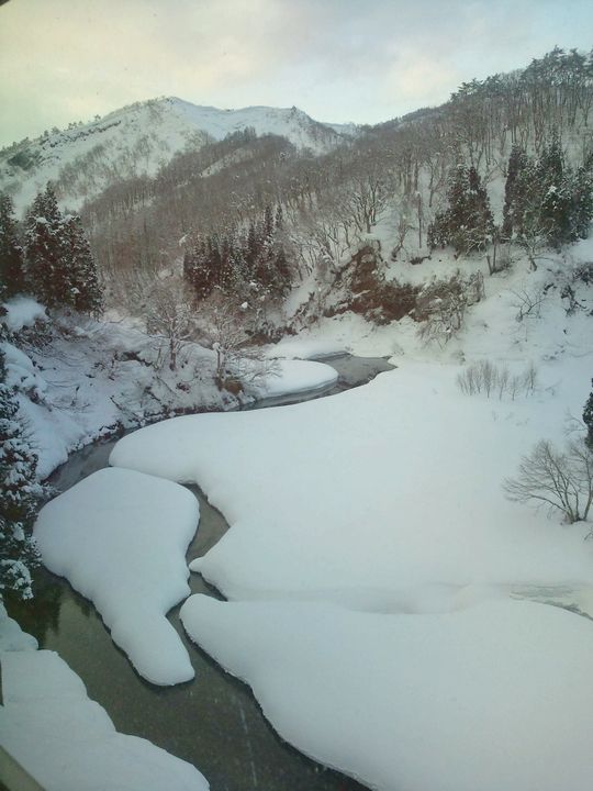 1000円グルメの日々in宇都宮