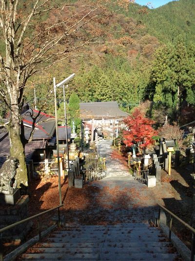 1000円グルメの日々in宇都宮