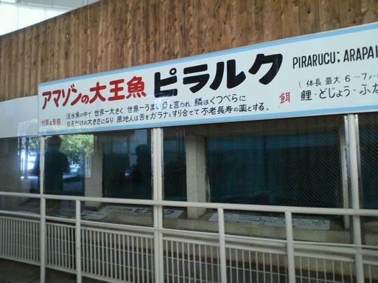 1000円グルメの旅 from 宇都宮 to 47都道府県