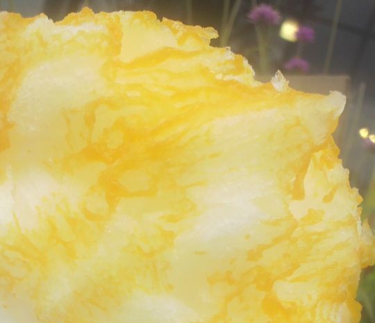 1000円グルメの日々in宇都宮