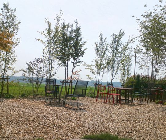 1000円グルメの旅 from 宇都宮 to 47都道府県