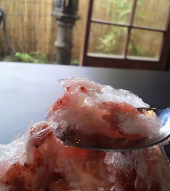 1000円グルメの旅　from 宇都宮　to 47都道府県