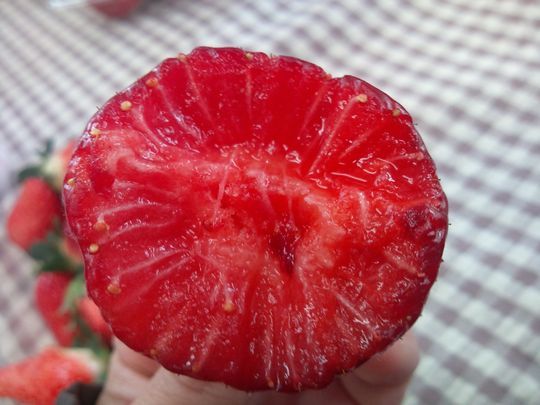 1000円グルメの日々in宇都宮