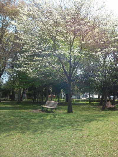 1000円グルメの日々in宇都宮